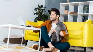 Attorney for multiple traffic offenses working from home with laptop and cat companion