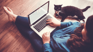 School zone speeding ticket lawyer working remotely on laptop with cat nearby